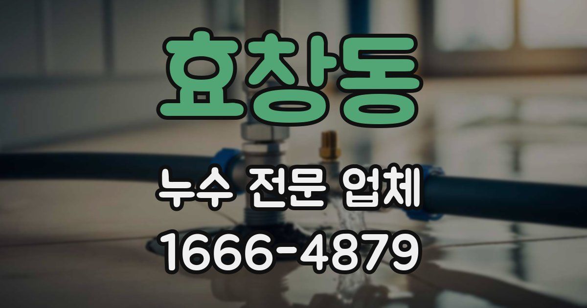 효창동 누수 전문 업체