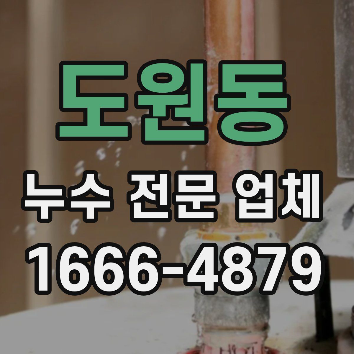 도원동 누수 전문 업체