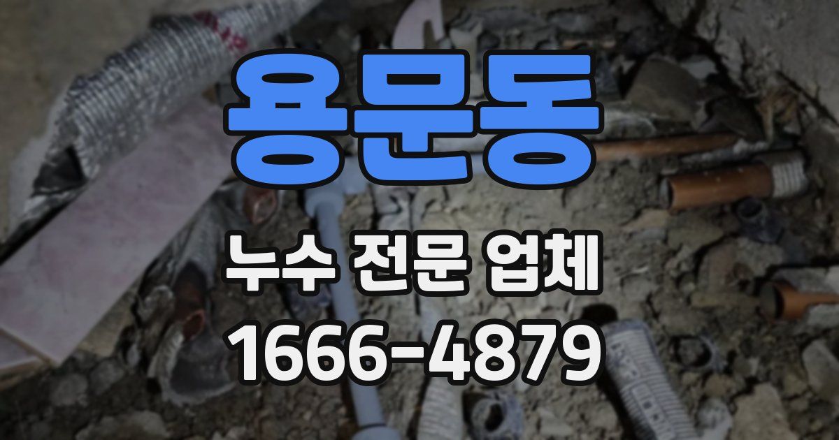 용문동 누수 전문 업체
