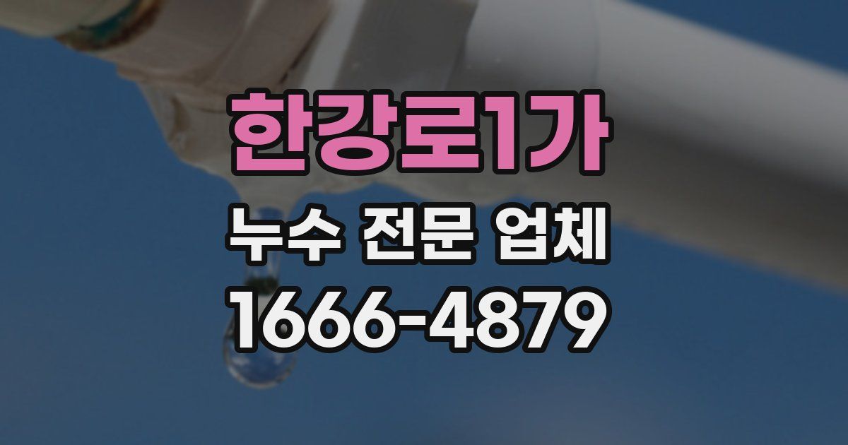 한강로1가 누수 전문 업체