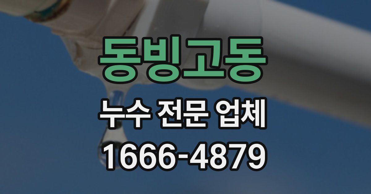 동빙고동 누수 전문 업체
