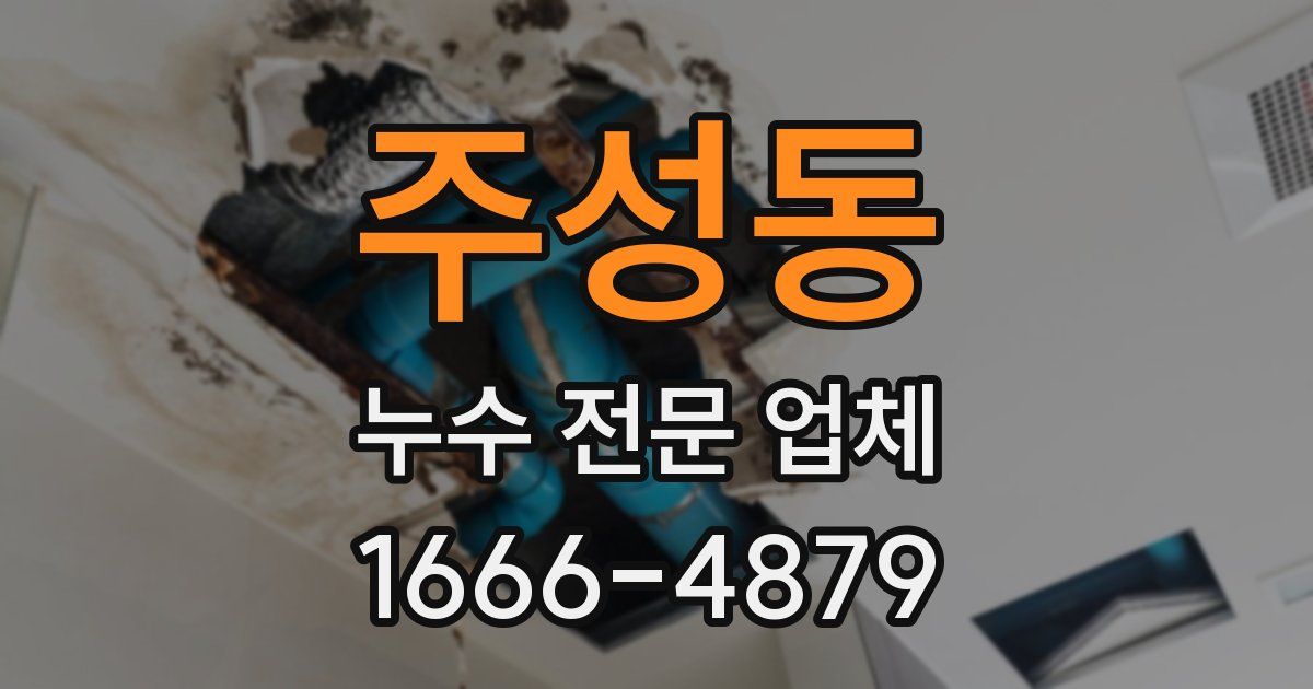 주성동 누수 전문 업체