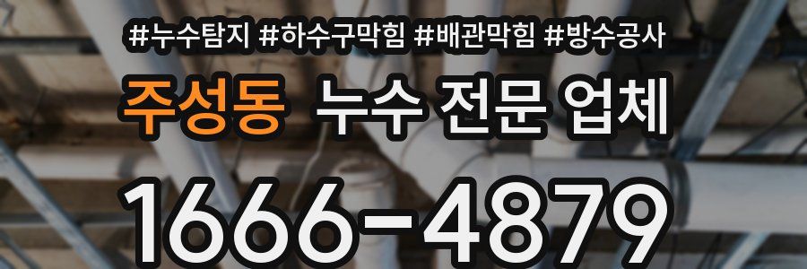 주성동 누수 전문 업체