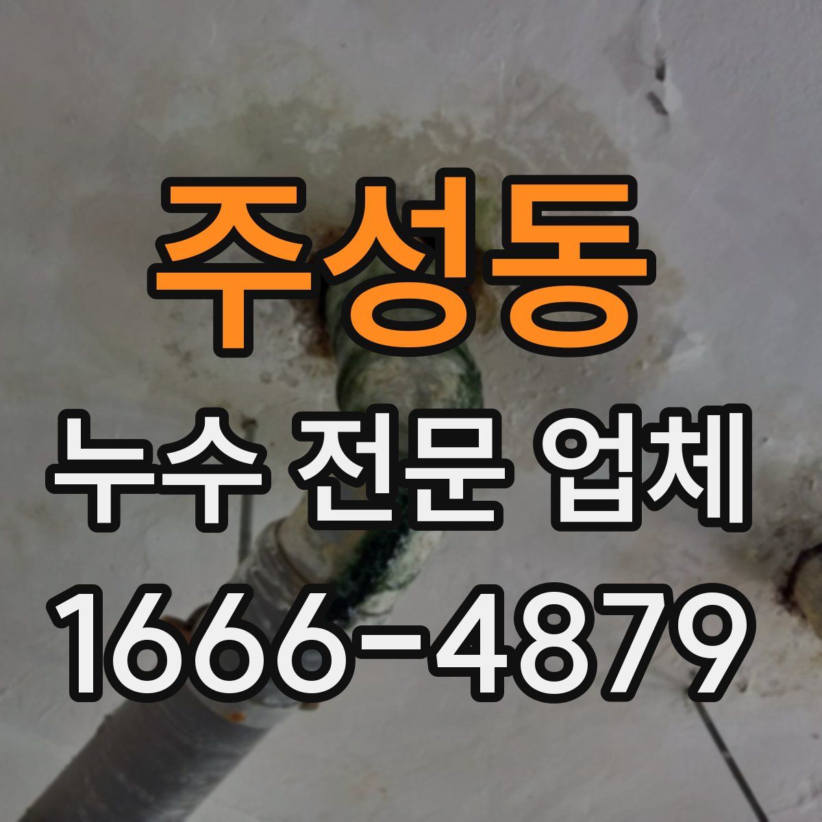 주성동 누수 전문 업체