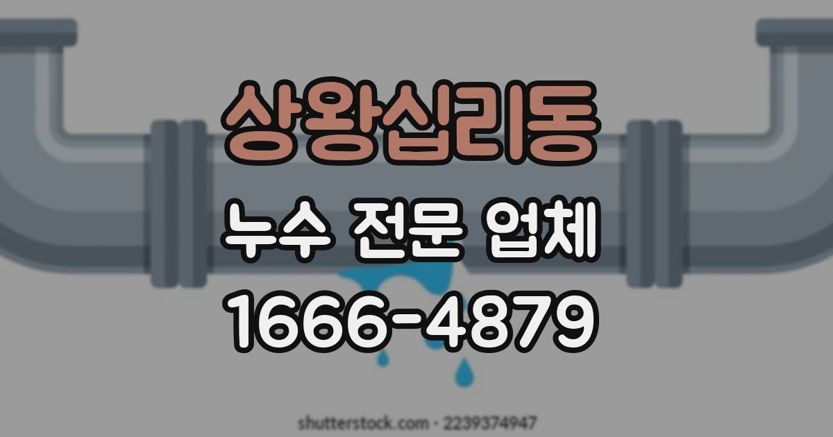 상왕십리동 누수 전문 업체