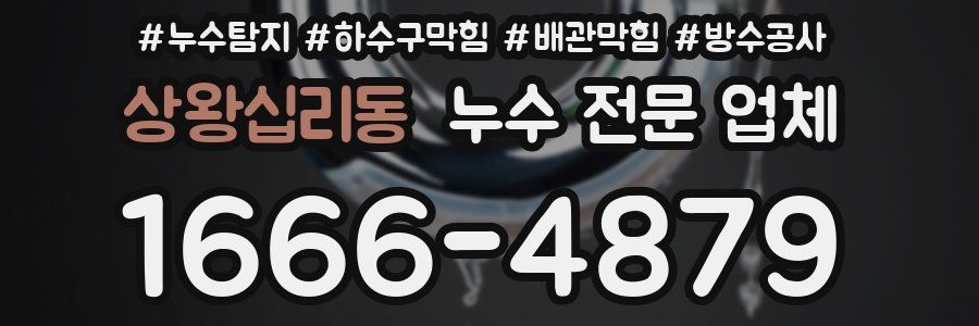상왕십리동 누수 전문 업체