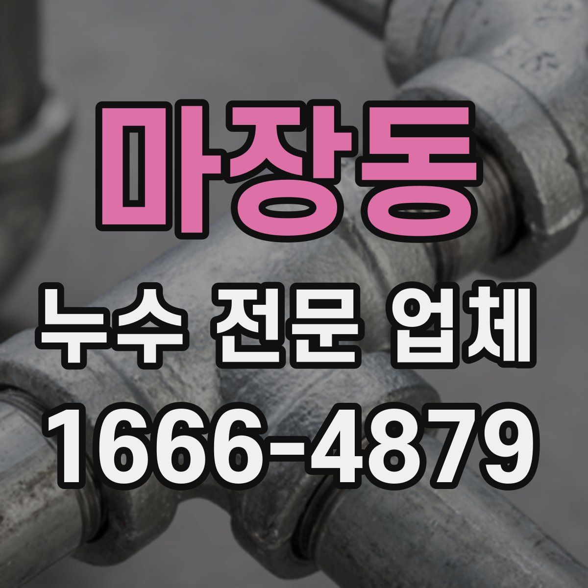 마장동 누수 전문 업체