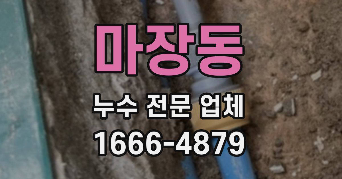 마장동 누수 전문 업체