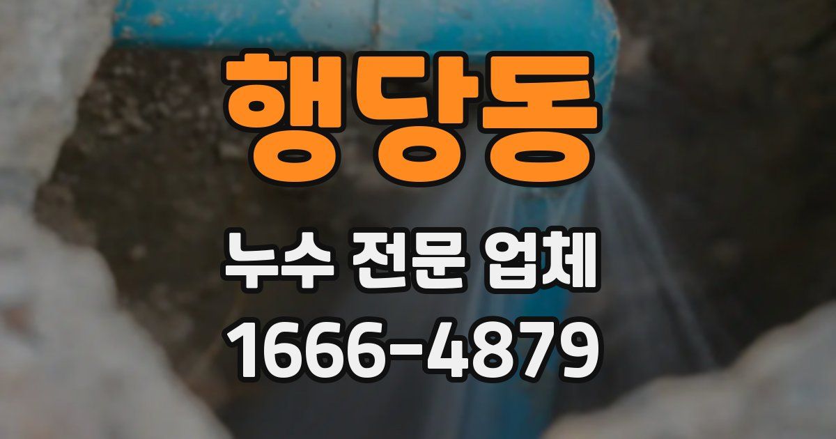 행당동 누수 전문 업체