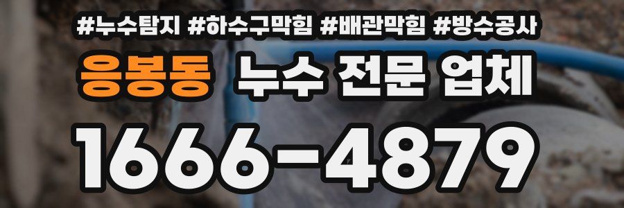 응봉동 누수 전문 업체