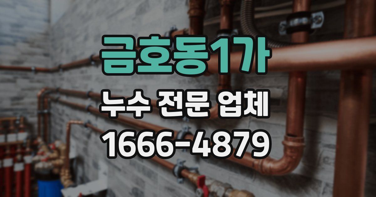 금호동1가 누수 전문 업체