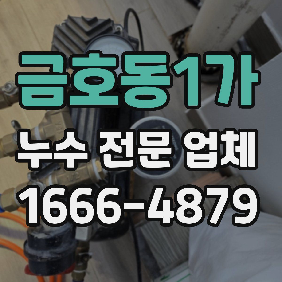 금호동1가 누수 전문 업체