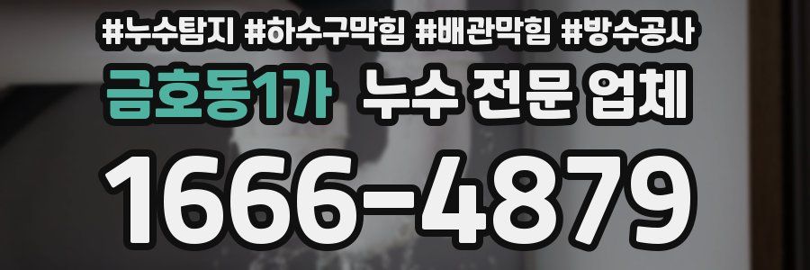 금호동1가 누수 전문 업체