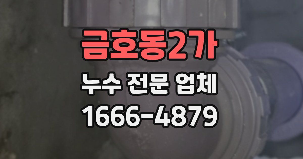 금호동2가 누수 전문 업체