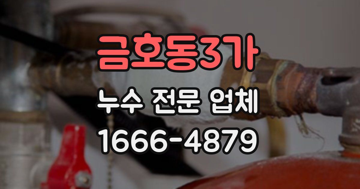 금호동3가 누수 전문 업체