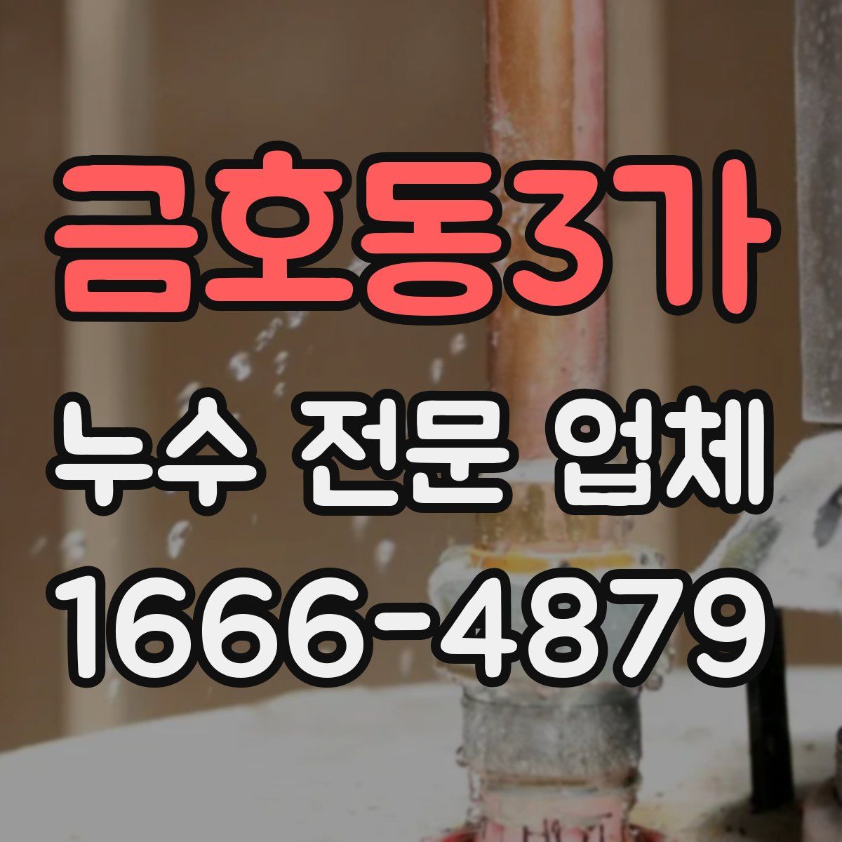 금호동3가 누수 전문 업체