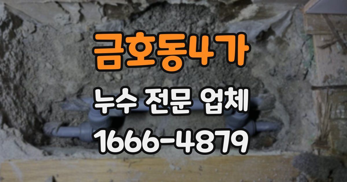 금호동4가 누수 전문 업체