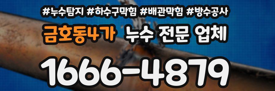 금호동4가 누수 전문 업체