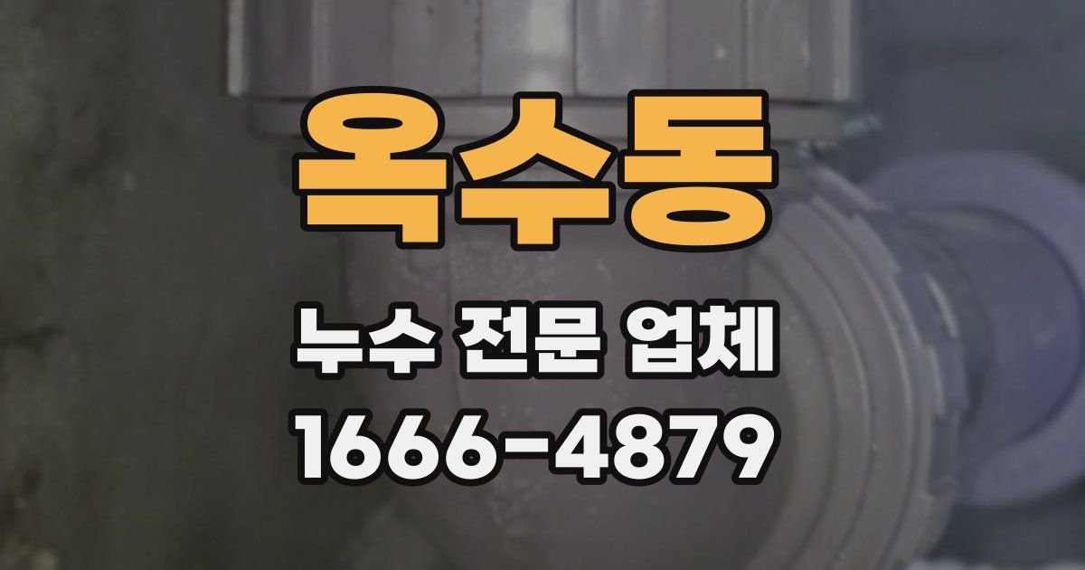 옥수동 누수 전문 업체