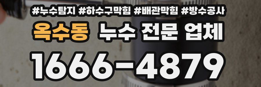 옥수동 누수 전문 업체