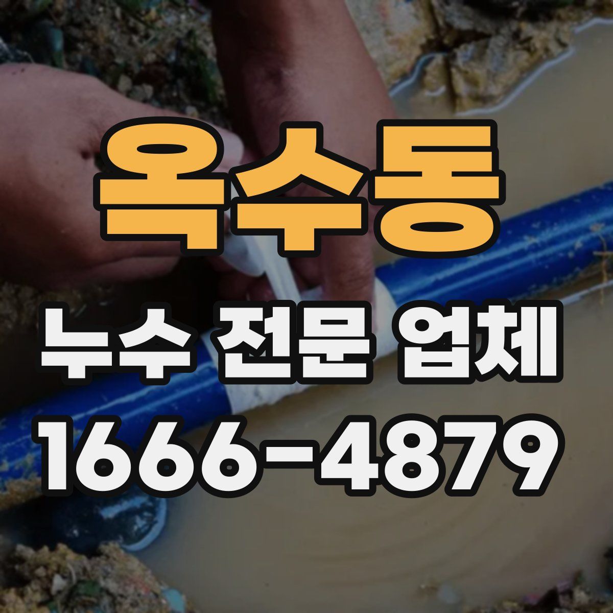 옥수동 누수 전문 업체