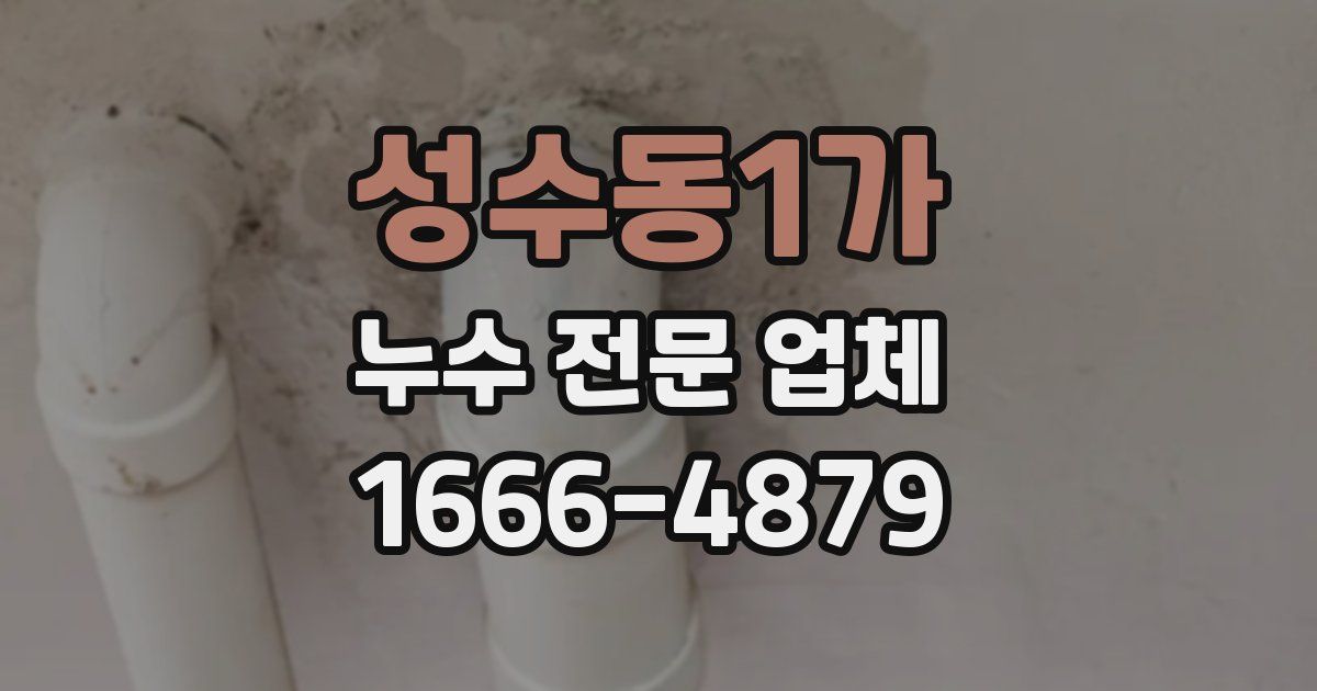 성수동1가 누수 전문 업체