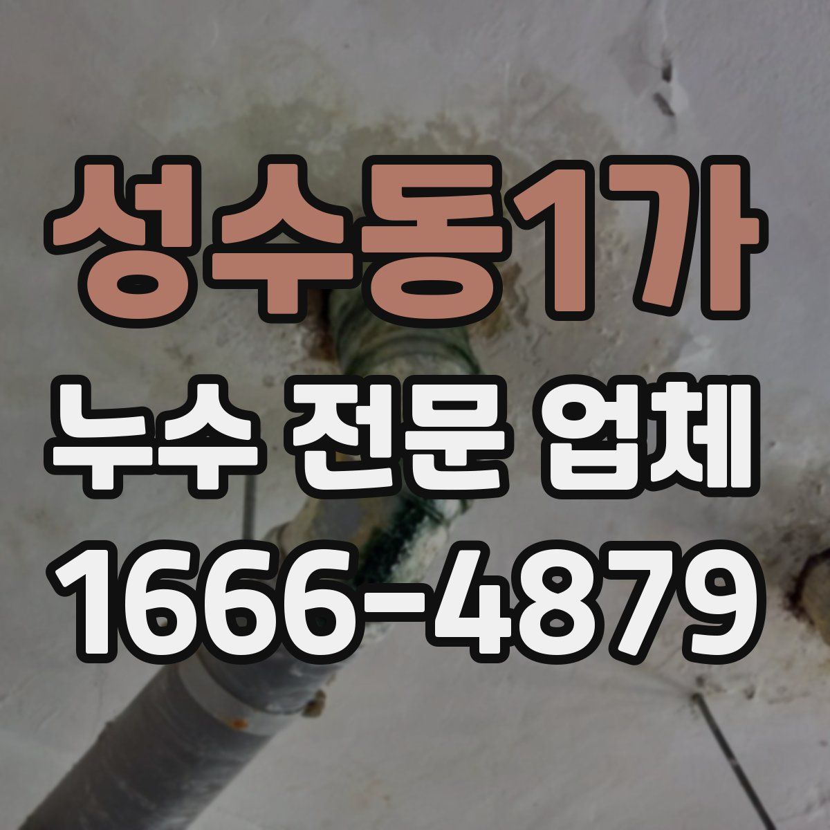 성수동1가 누수 전문 업체