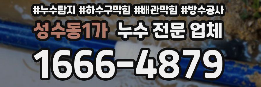 성수동1가 누수 전문 업체