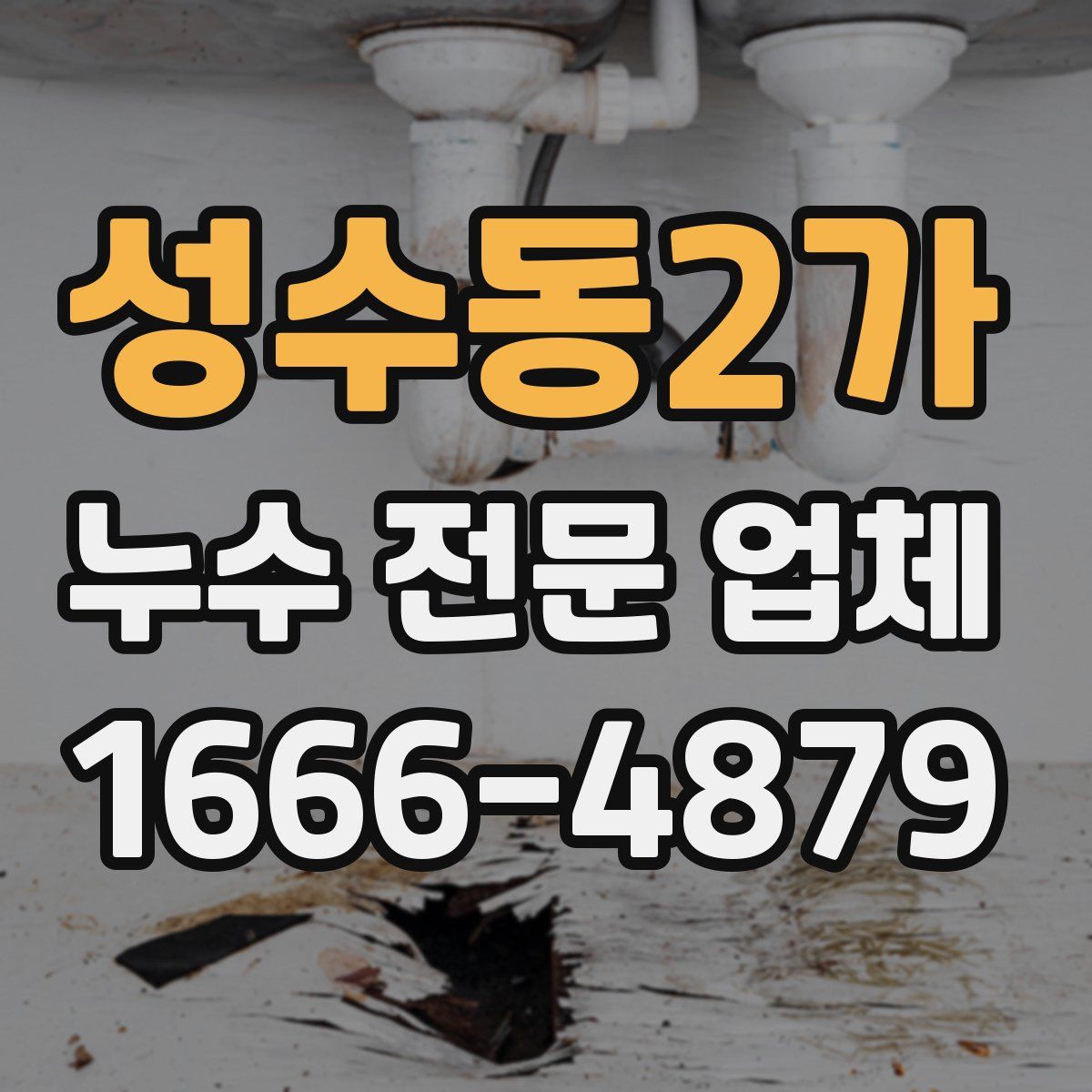 성수동2가 누수 전문 업체