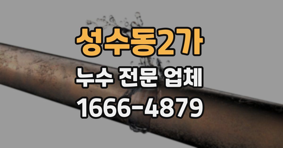 성수동2가 누수 전문 업체