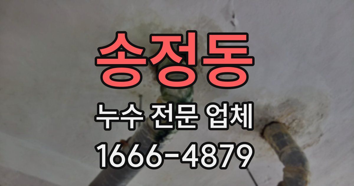 송정동 누수 전문 업체