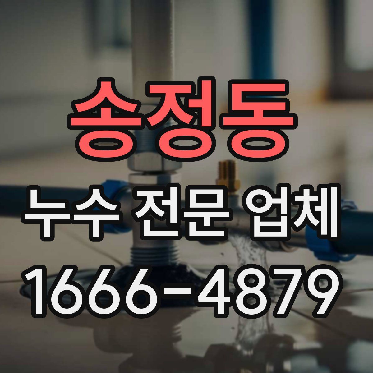 송정동 누수 전문 업체