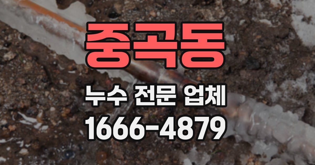 중곡동 누수 전문 업체