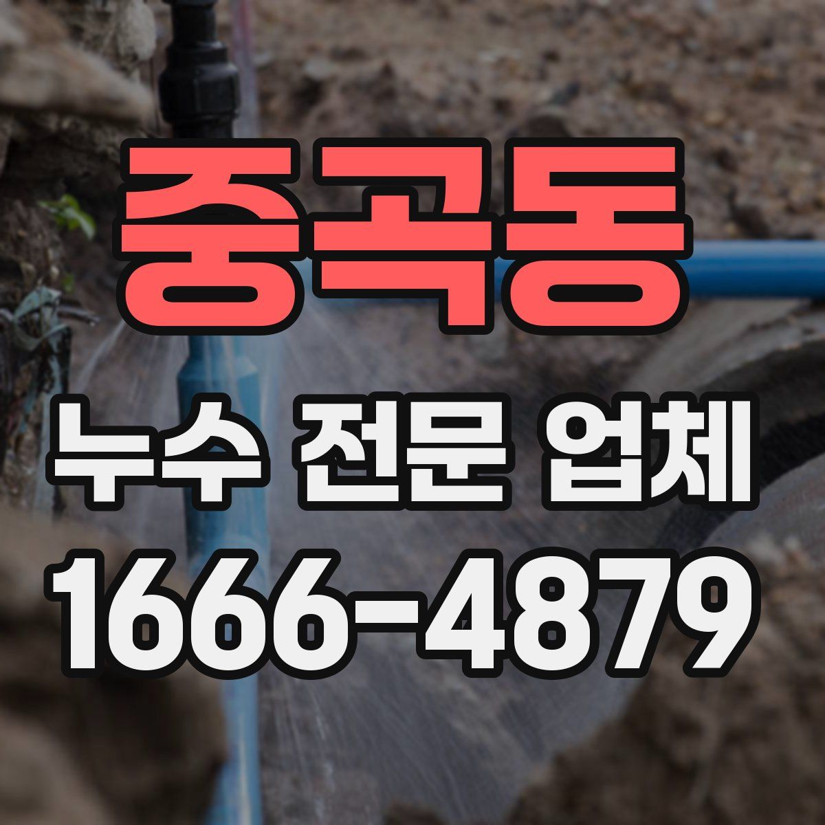 중곡동 누수 전문 업체