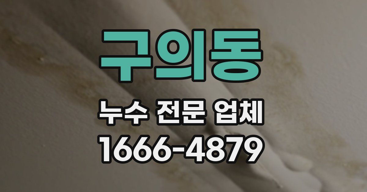 구의동 누수 전문 업체