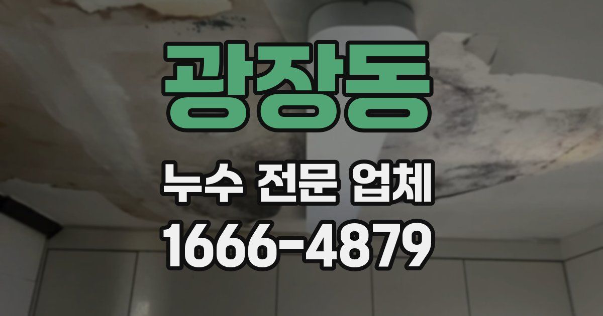 광장동 누수 전문 업체