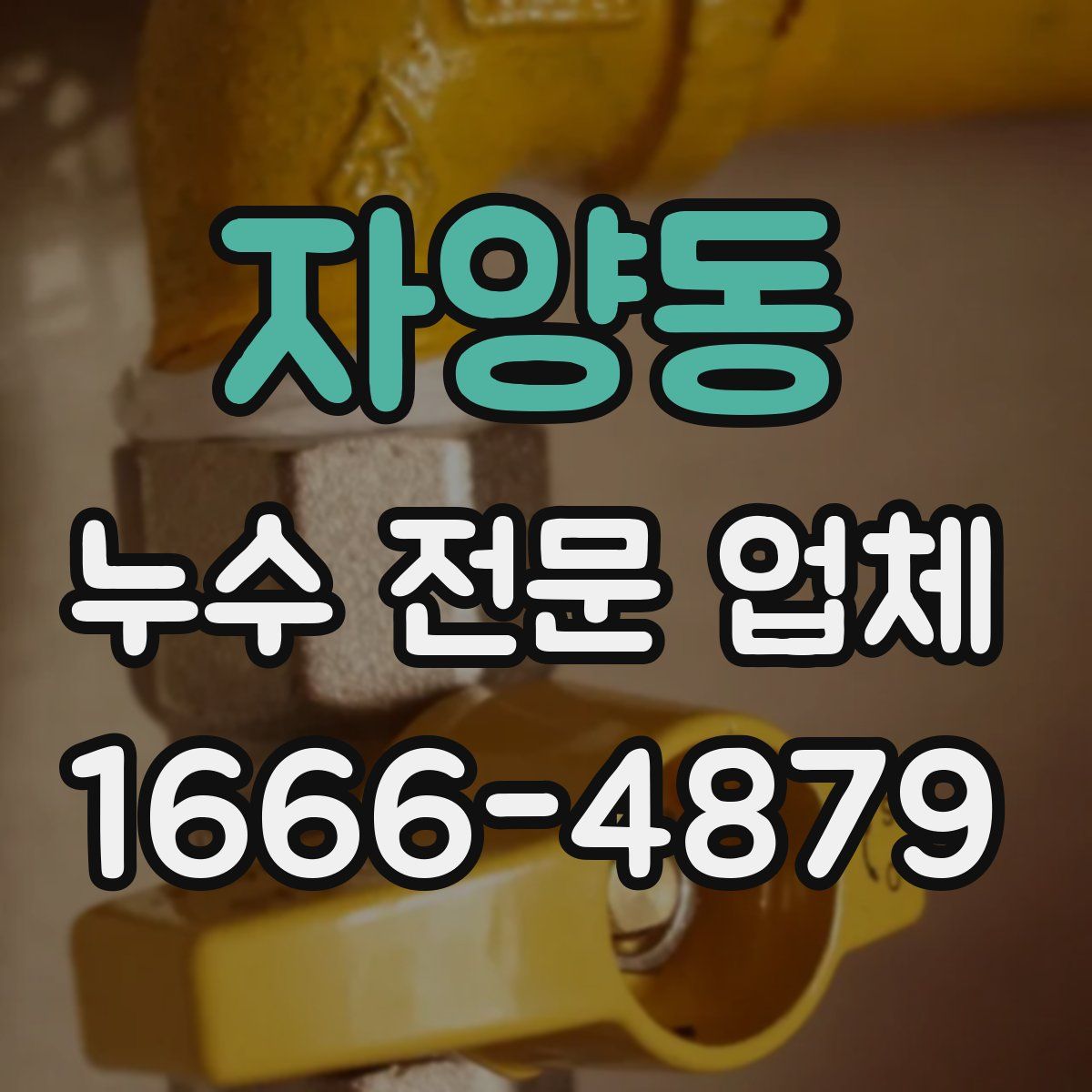 자양동 누수 전문 업체