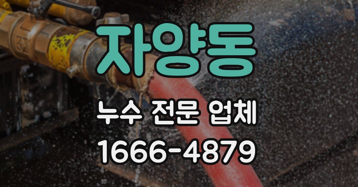 자양동 누수 전문 업체