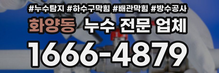 화양동 누수 전문 업체