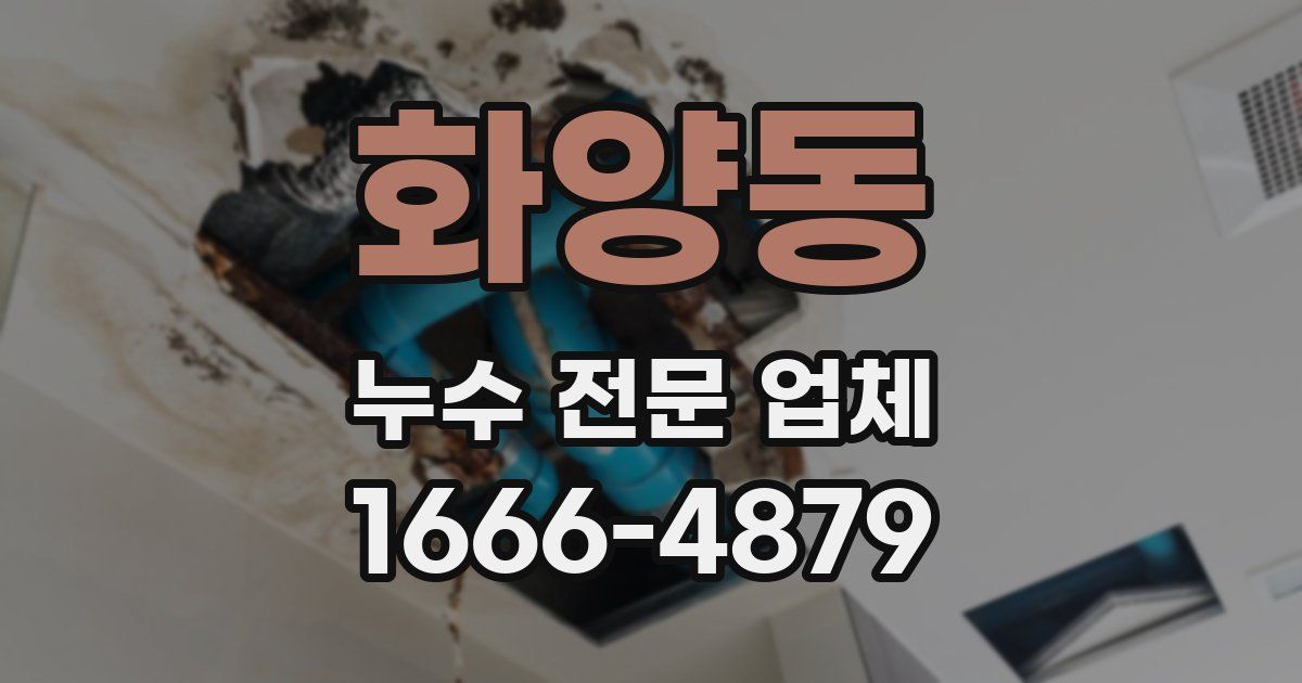 화양동 누수 전문 업체