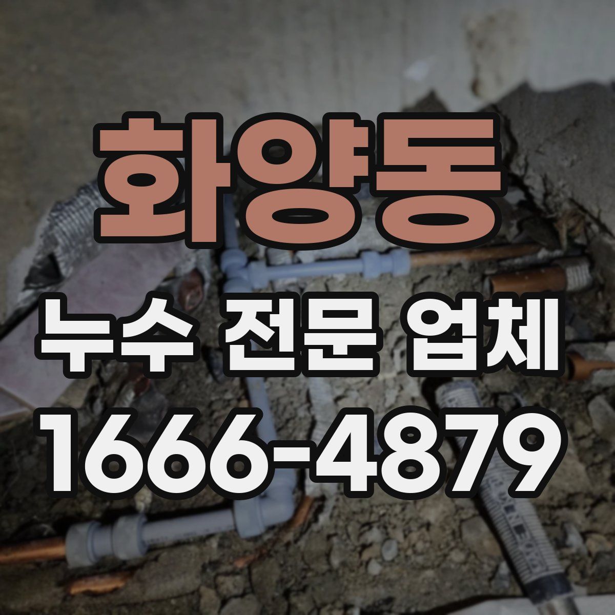 화양동 누수 전문 업체