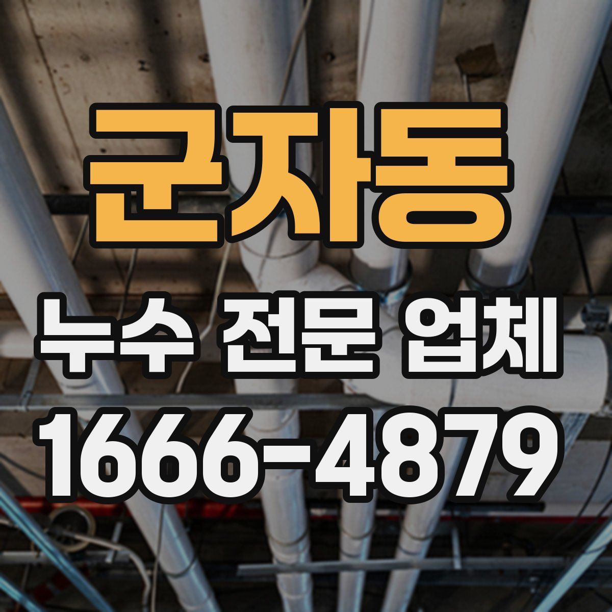 군자동 누수 전문 업체