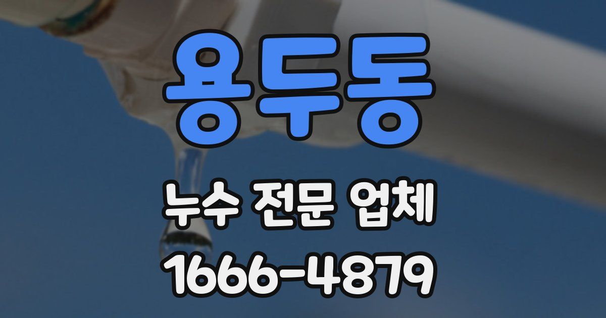 용두동 누수 전문 업체