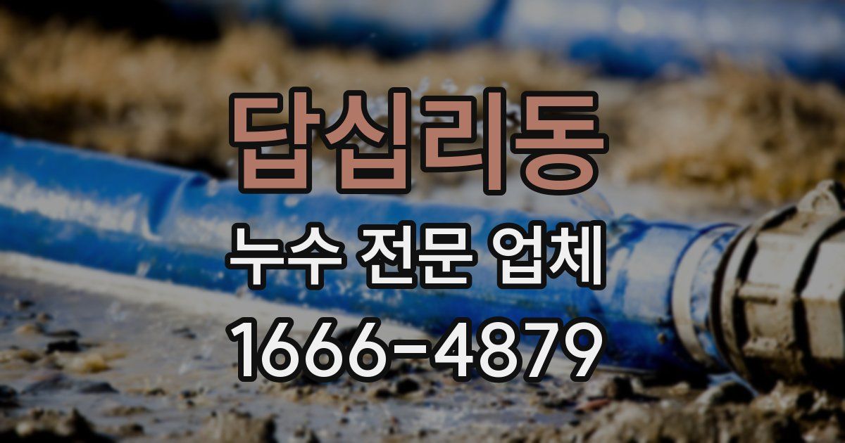 답십리동 누수 전문 업체