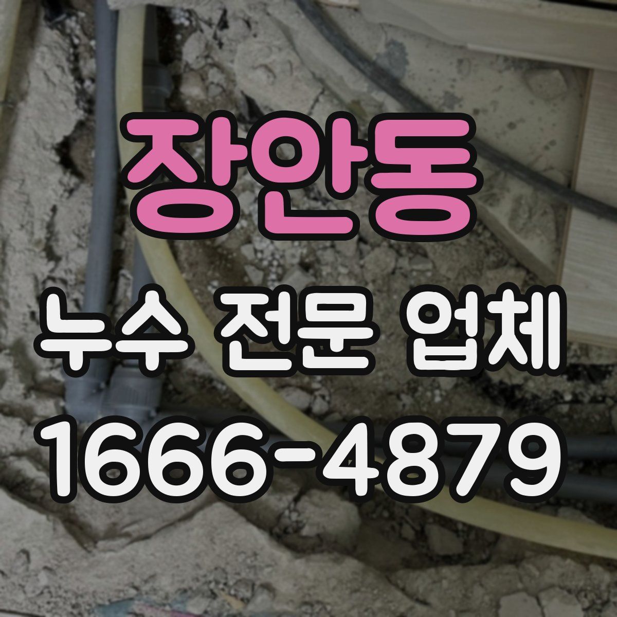 장안동 누수 전문 업체