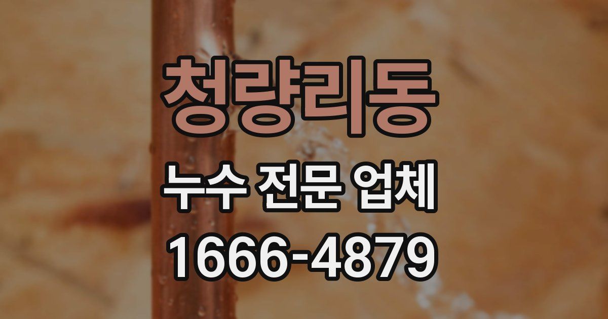 청량리동 누수 전문 업체