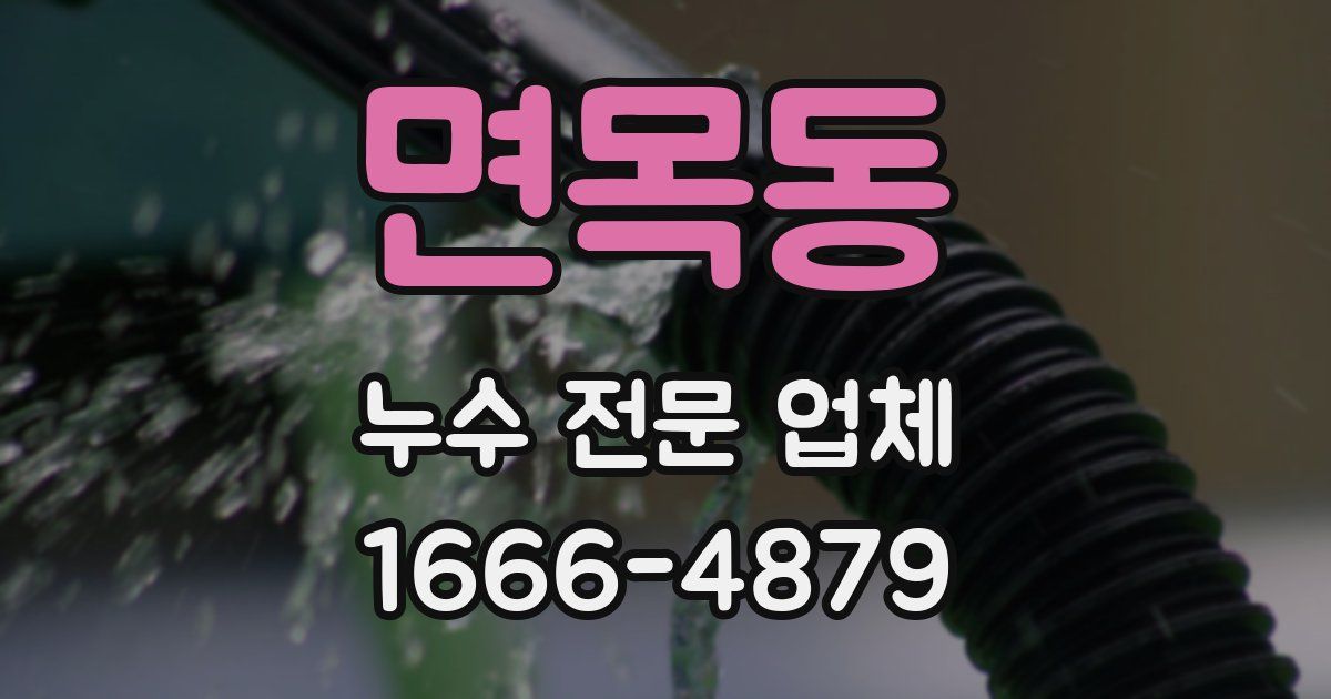 면목동 누수 전문 업체