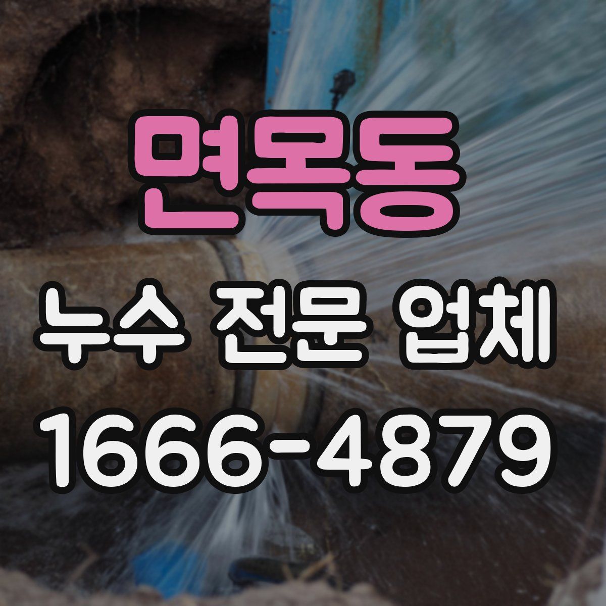 면목동 누수 전문 업체