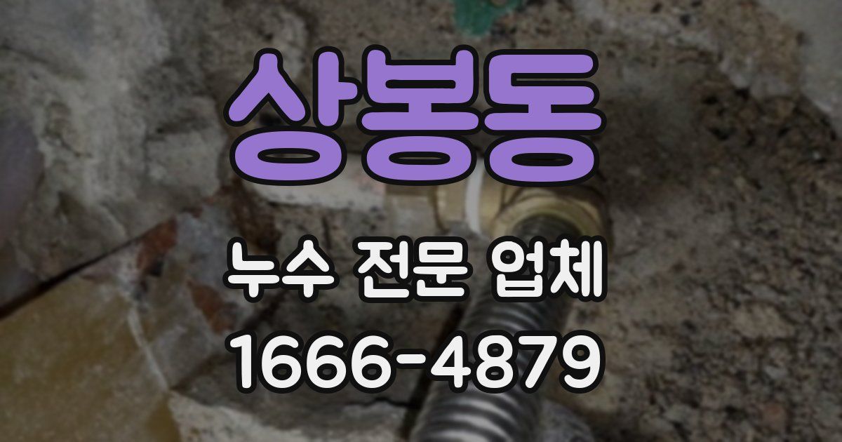 상봉동 누수 전문 업체
