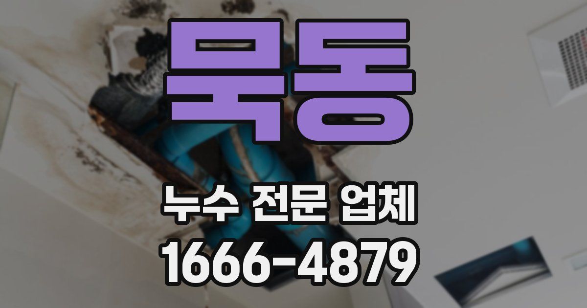 묵동 누수 전문 업체